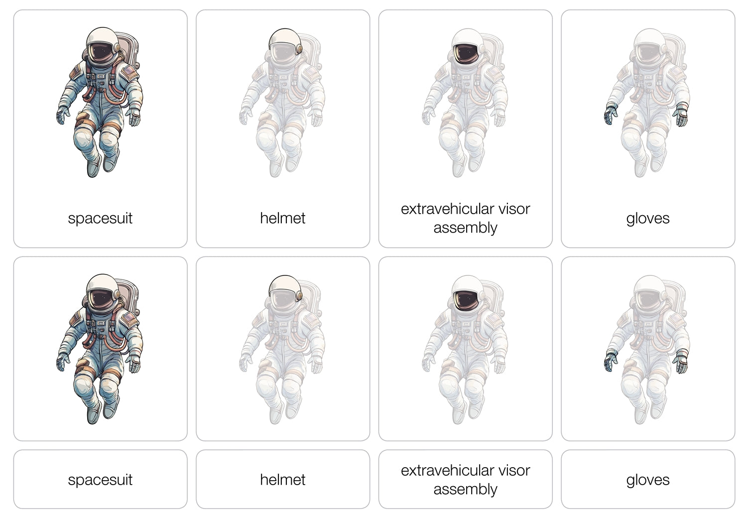 Parts of an Astronaut Spacesuit with Nomenclature Cards (3-6)
