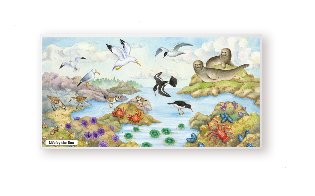 Life by the Sea Chart
