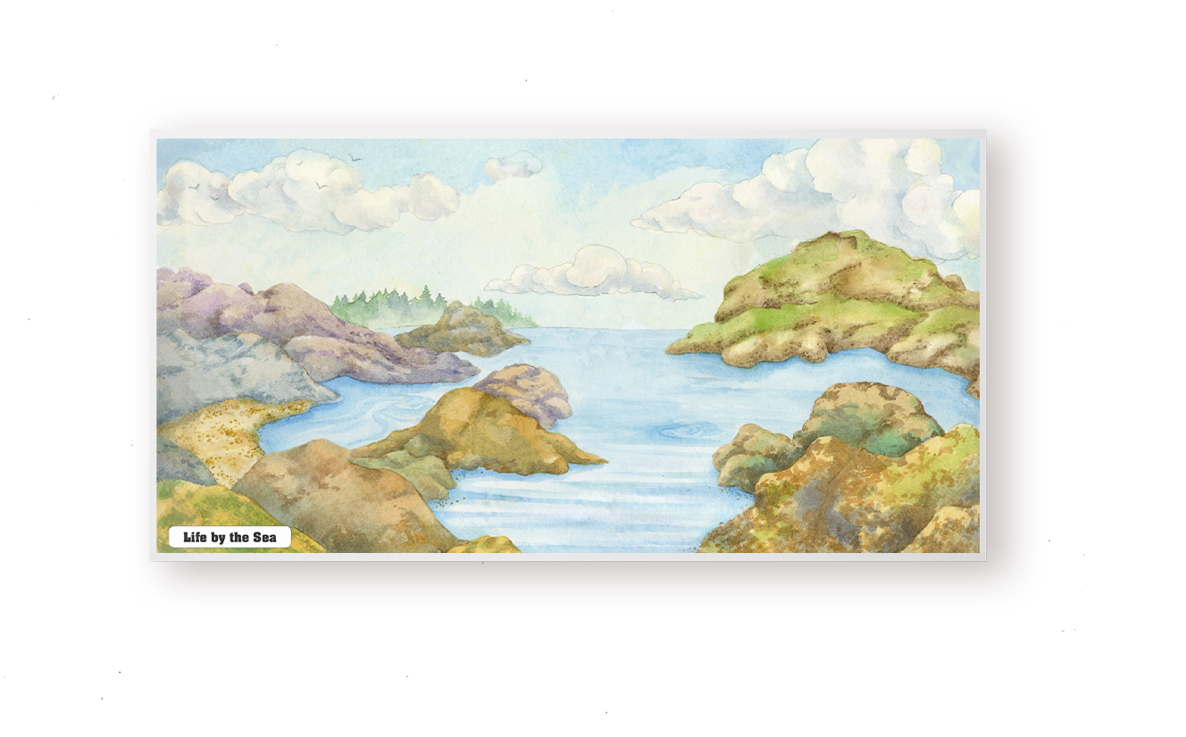 Life by the Sea Chart