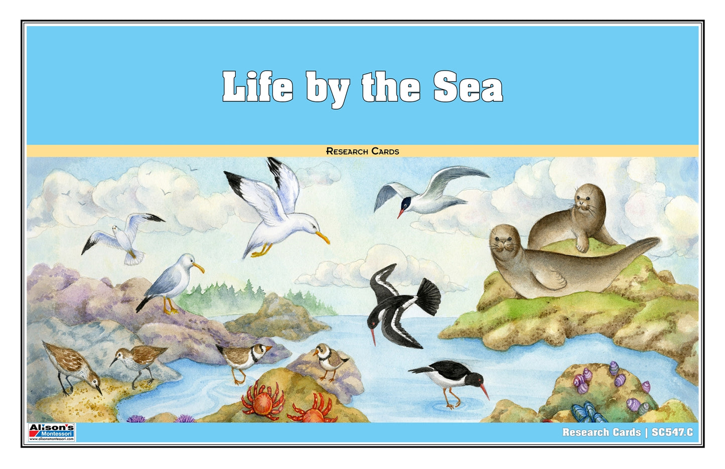 Life by the Sea Chart