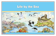 Life by the Sea Nomenclature Cards (3-6) (Printed)