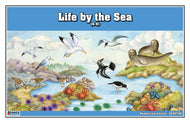 Life by the Sea Nomenclature Cards (6-9) (Printed)