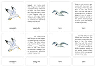 Life by the Sea Nomenclature Cards (6-9) (Printed)