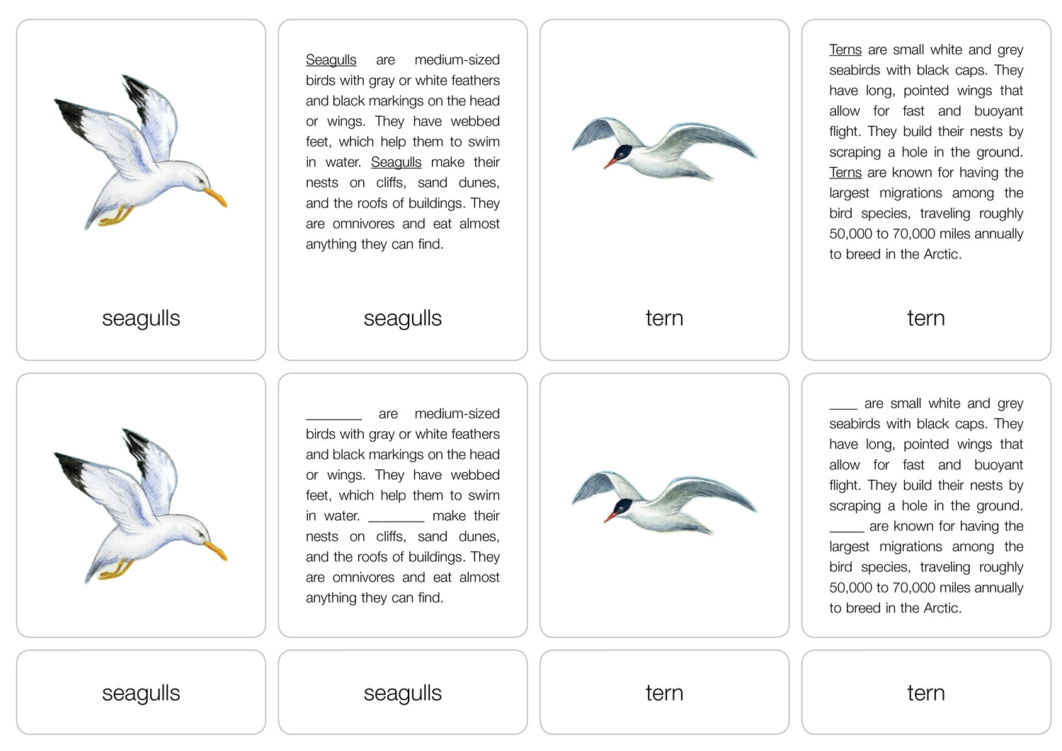 Life by the Sea Nomenclature Cards (6-9) (Printed)