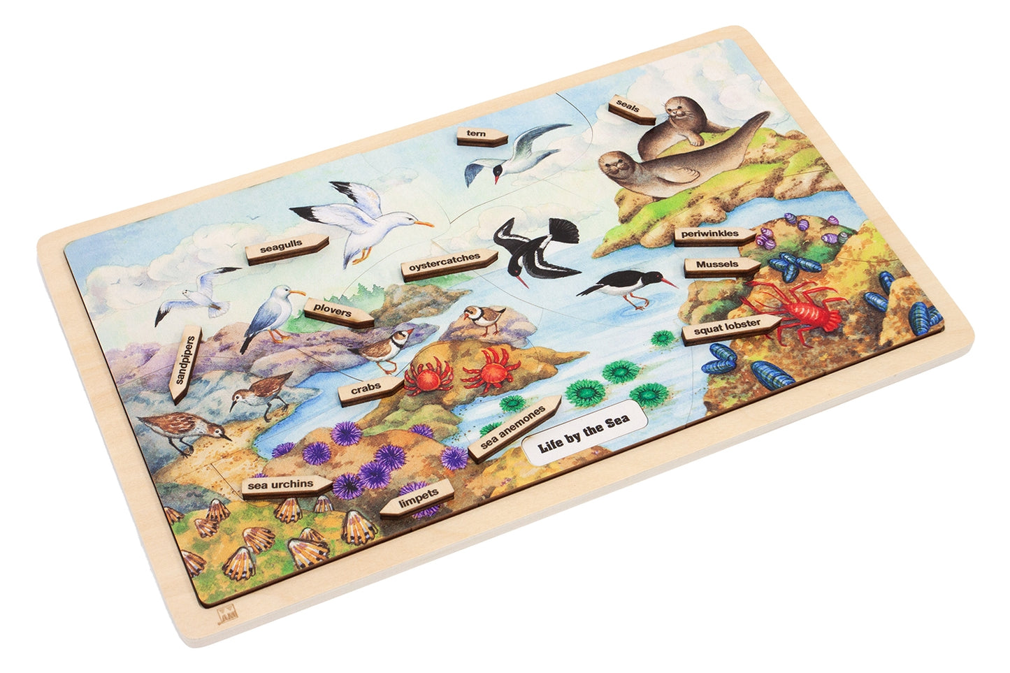 Life by the Sea Puzzle with Nomenclature Cards (6-9) (Printed)