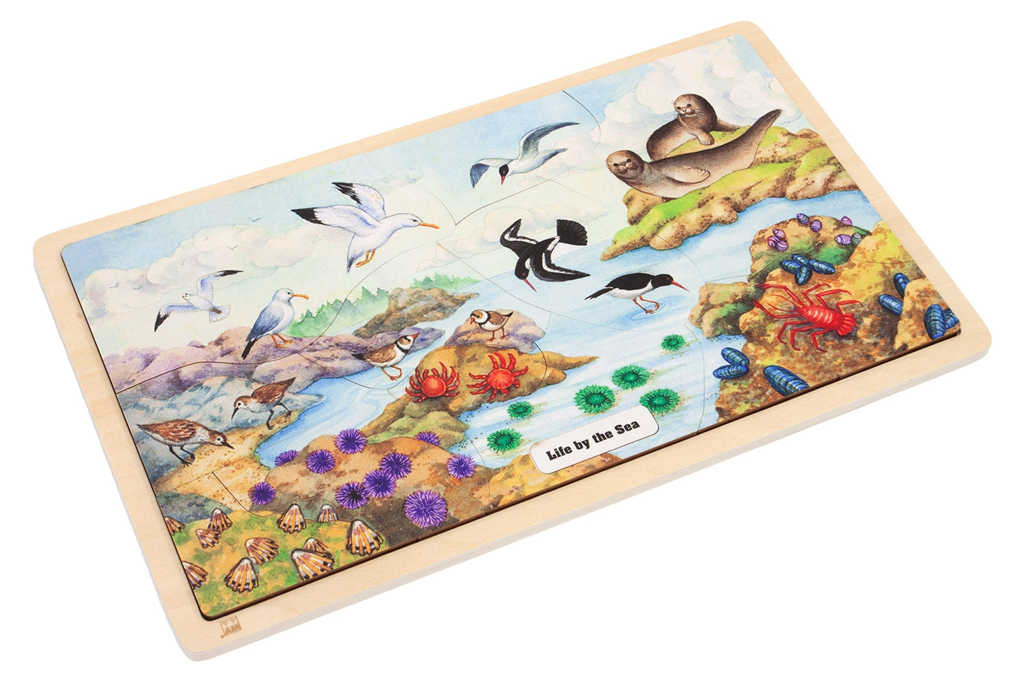 Life by the Sea Puzzle with Nomenclature Cards (6-9) (Printed)