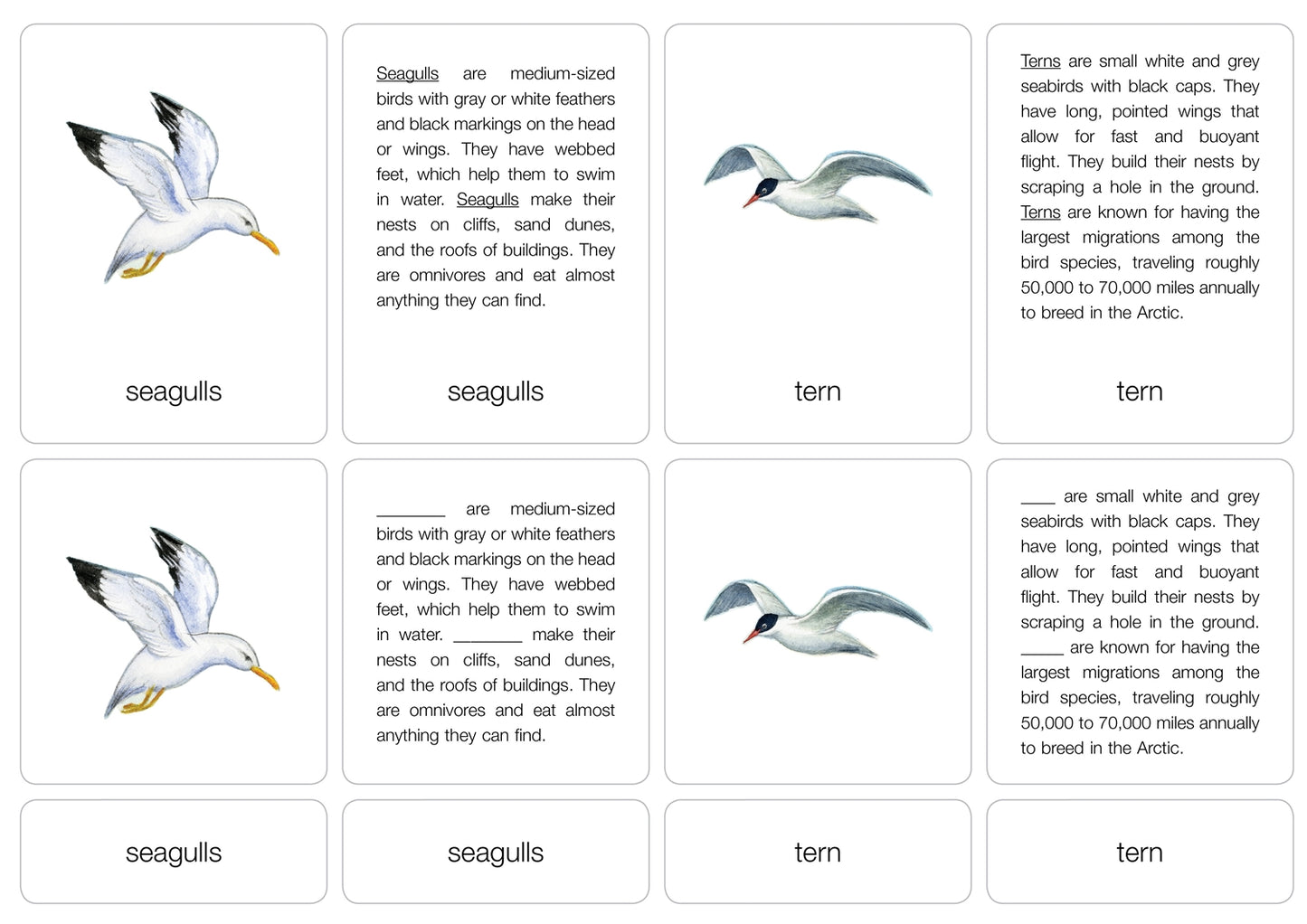 Life by the Sea Puzzle with Nomenclature Cards (6-9) (Printed)