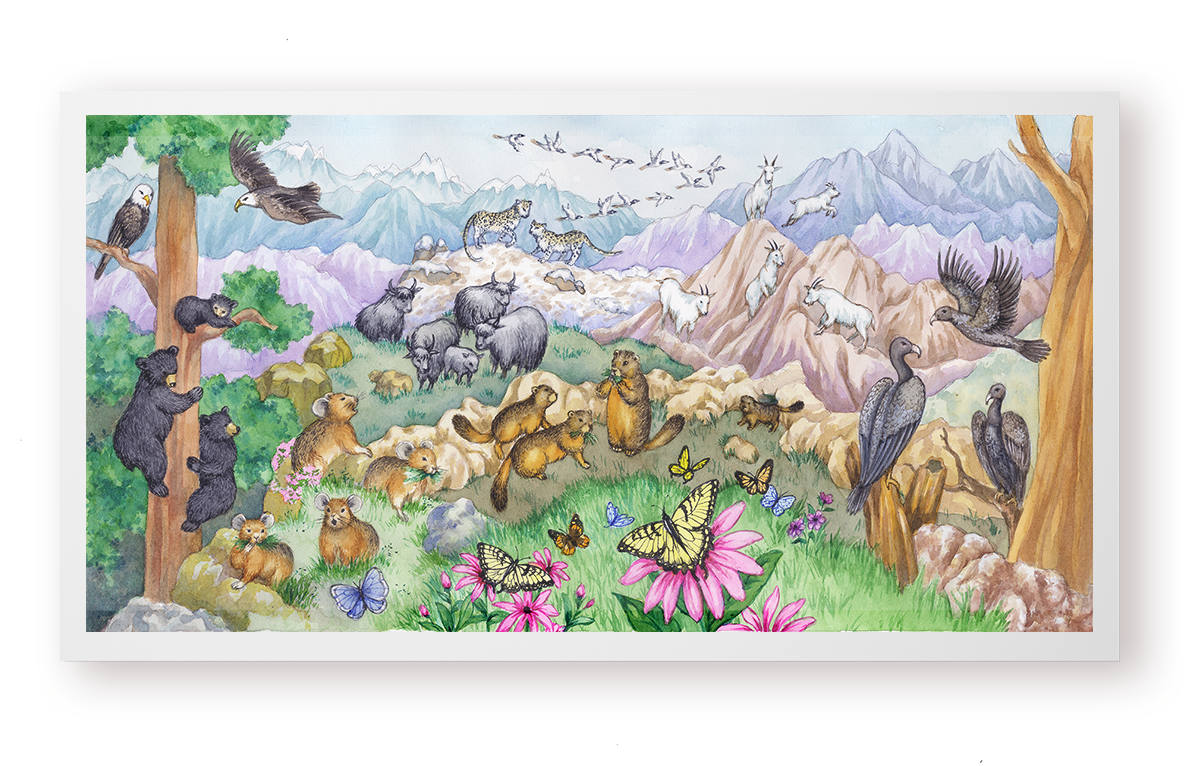 Life on a Mountain Chart