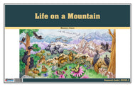Life on a Mountain Chart