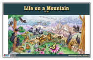Life on a Mountain Nomenclature Cards (3-6) (Printed)