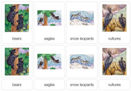 Life on a Mountain Nomenclature Cards (3-6) (Printed)