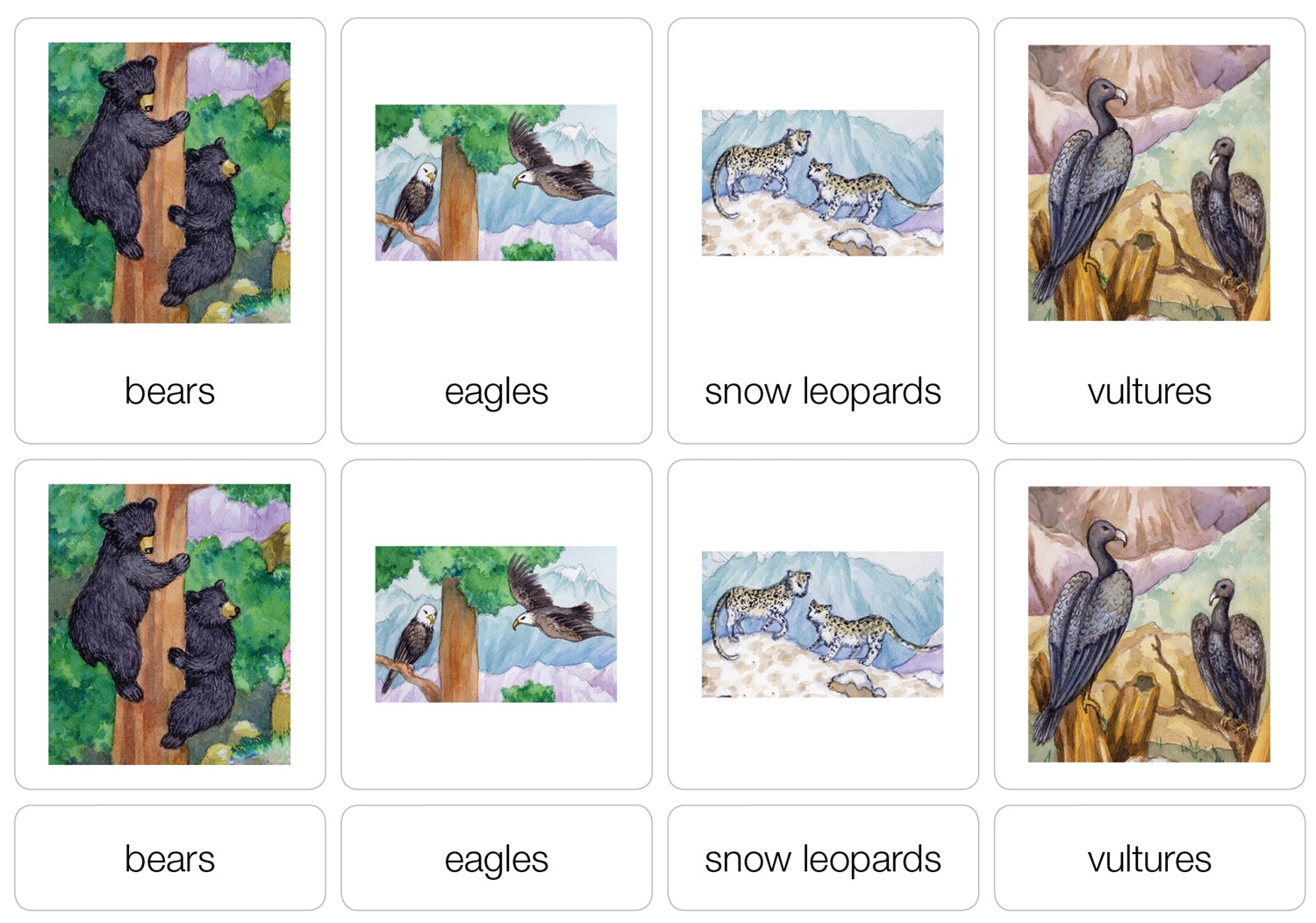 Life on a Mountain Nomenclature Cards (3-6) (Printed)