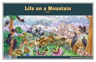 Life on a Mountain Nomenclature Cards (6-9) (Printed)
