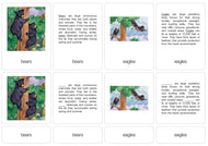 Life on a Mountain Nomenclature Cards (6-9) (Printed)
