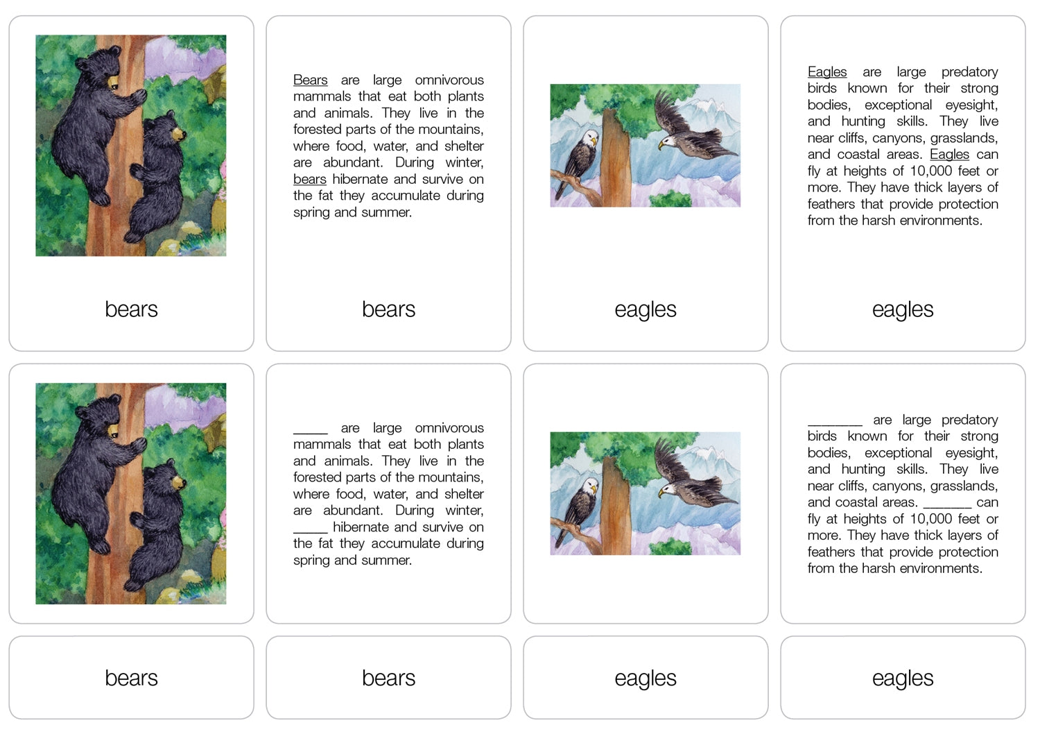 Life on a Mountain Nomenclature Cards (6-9) (Printed)