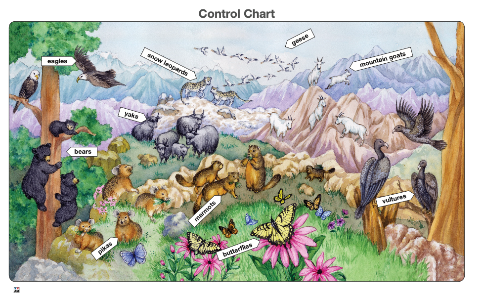 Life on a Mountain Puzzle with Nomenclature Cards (3-6) (Printed)