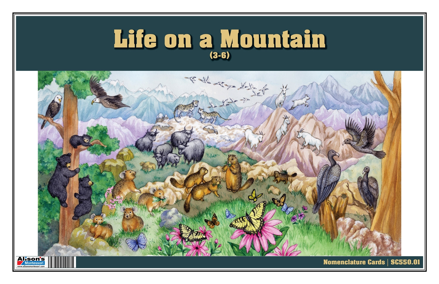 Life on a Mountain Puzzle with Nomenclature Cards (3-6) (Printed)