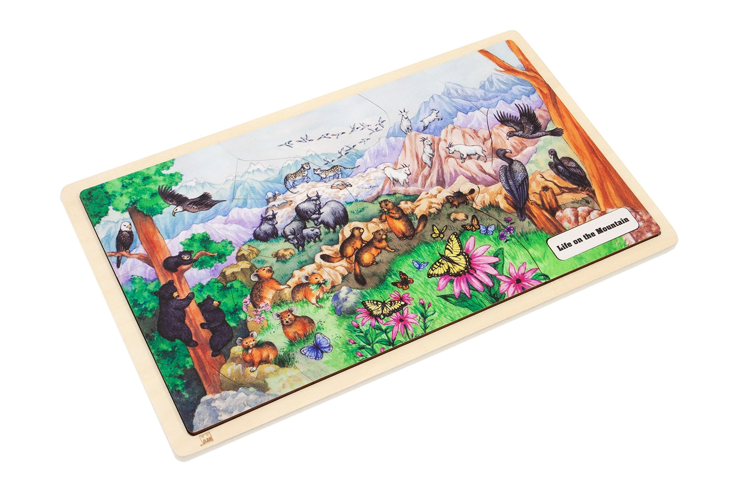 Life on a Mountain Puzzle