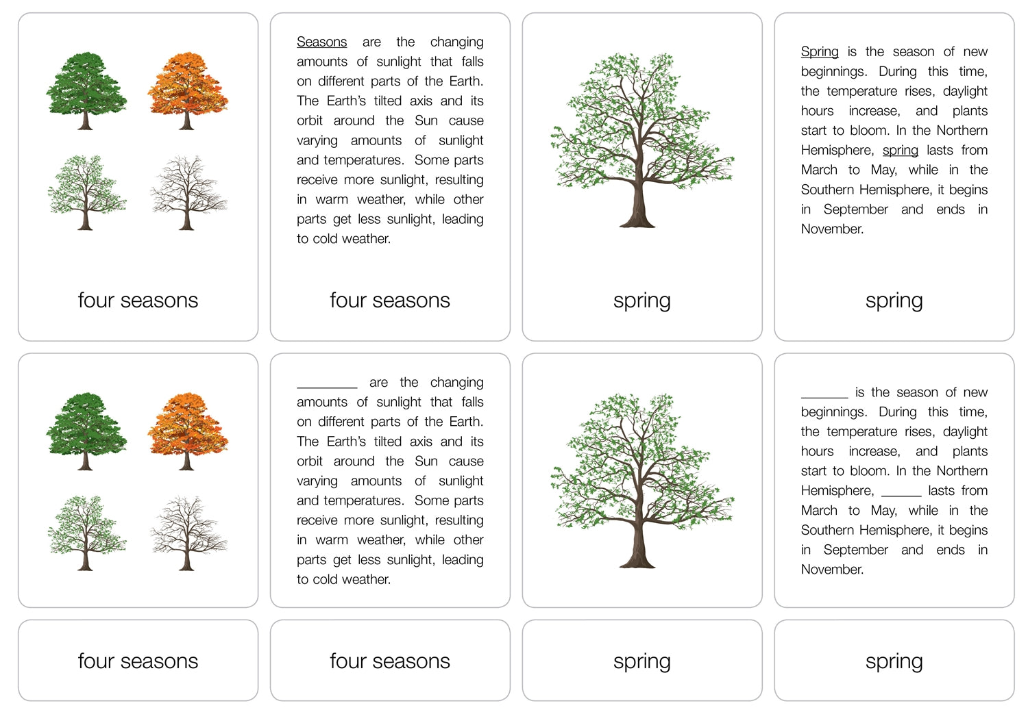 The Four Seasons Nomenclature Cards 6-9 (Printed)