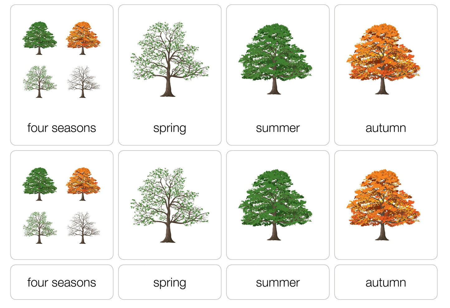 The Four Seasons Puzzle with Nomenclature Cards 3-6 (Printed)