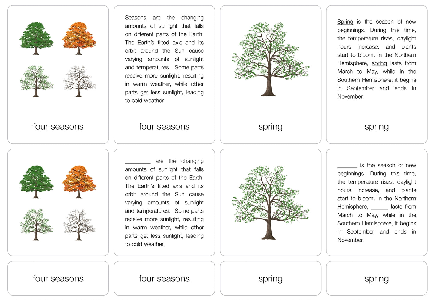 The Four Seasons Puzzle with Nomenclature Cards 6-9 (Printed)