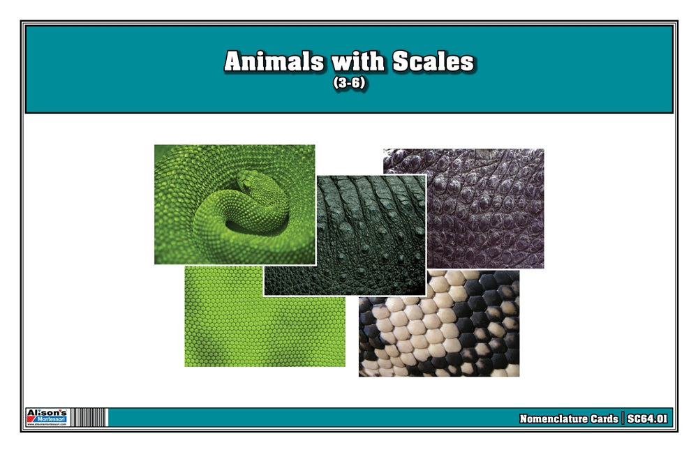 Animals with Scales (Printed)