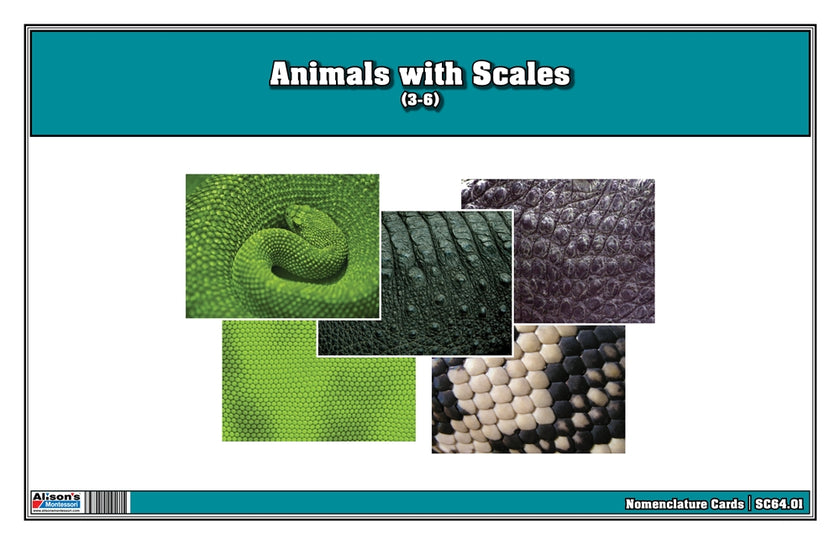 Animals with Scales (Printed)