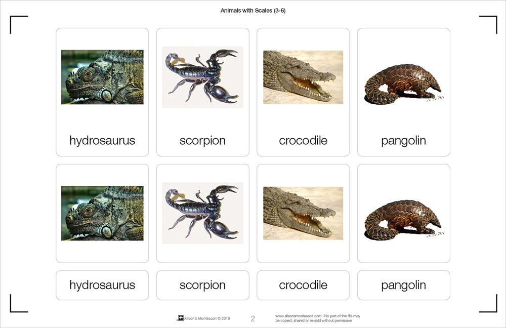 Animals with Scales (Printed)