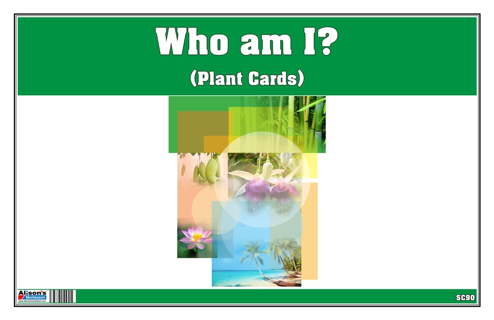 Who am I? Plant Cards (Printed)