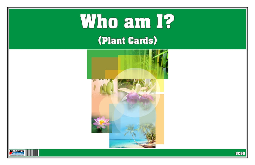 Who am I? Plant Cards (Printed)