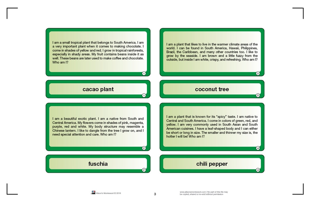 Who am I? Plant Cards (Printed)