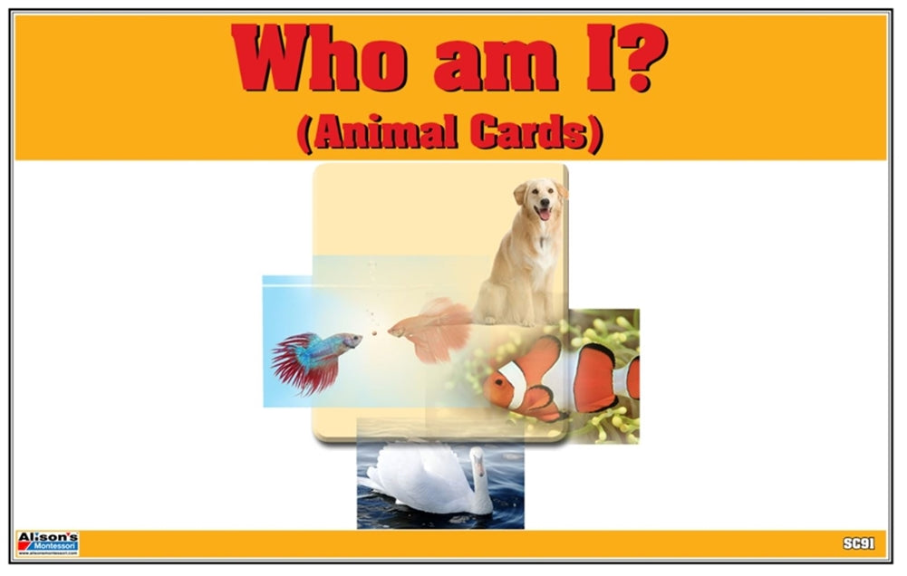 Who am I? Animal Cards (Printed)