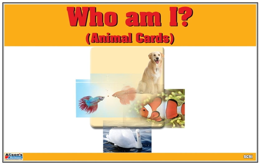 Who am I? Animal Cards (Printed)