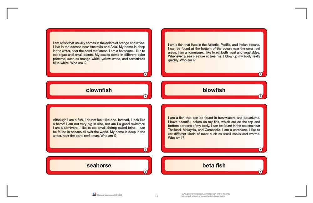 Who am I? Animal Cards (Printed)