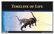 Timeline of Life