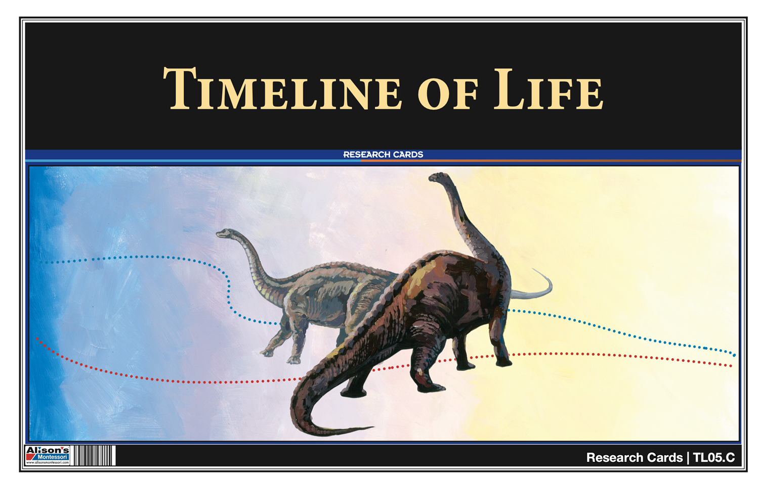 Timeline of Life