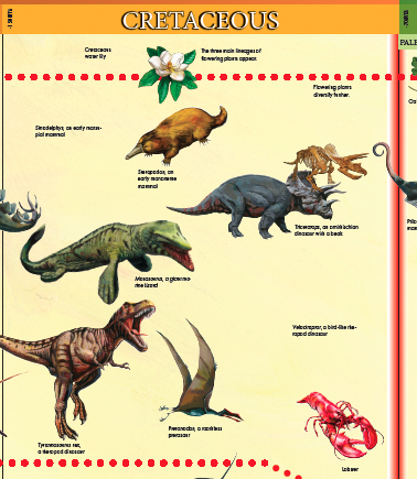 Timeline of Life (Printed on Cloth)
