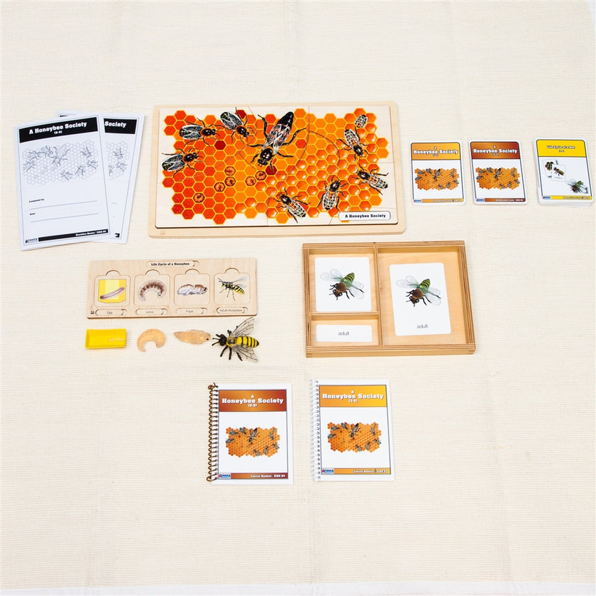 Unit Study: Bee (Ages 3-9)