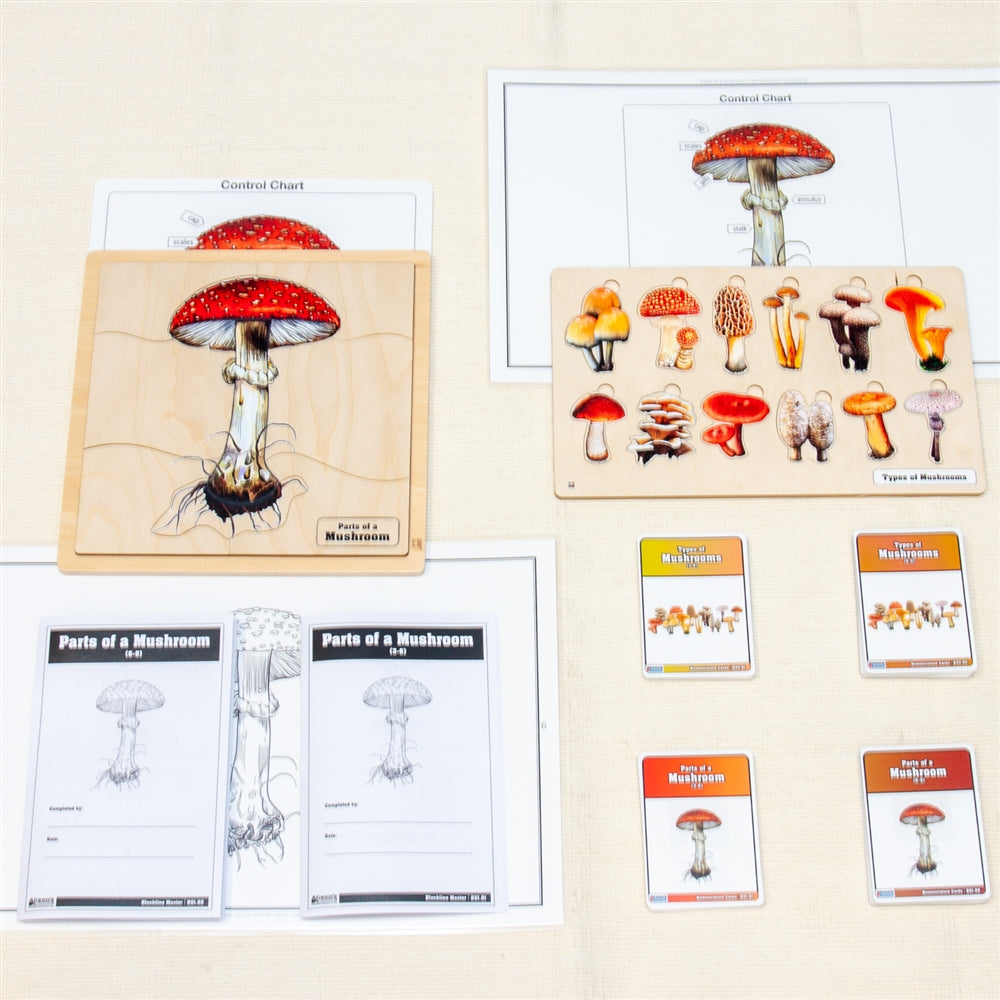 Unit Study: Mushroom (Ages 3-9)