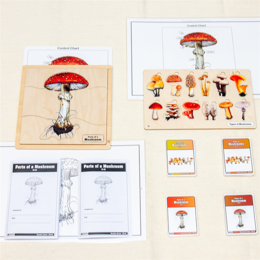 Unit Study: Mushroom (Ages 3-9)