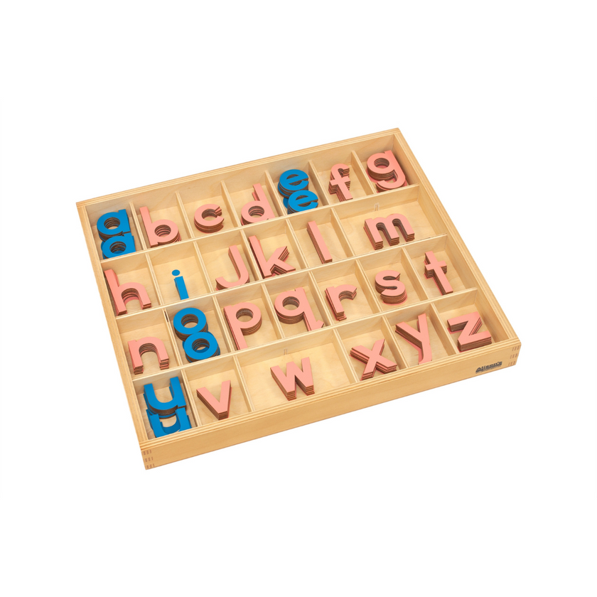 Small Movable Alphabet: Lowercase - Pink and Blue (Premium Quality)