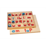 Plastic Small Movable Alphabets: Red with Blue Vowels - Print (Premium Quality)