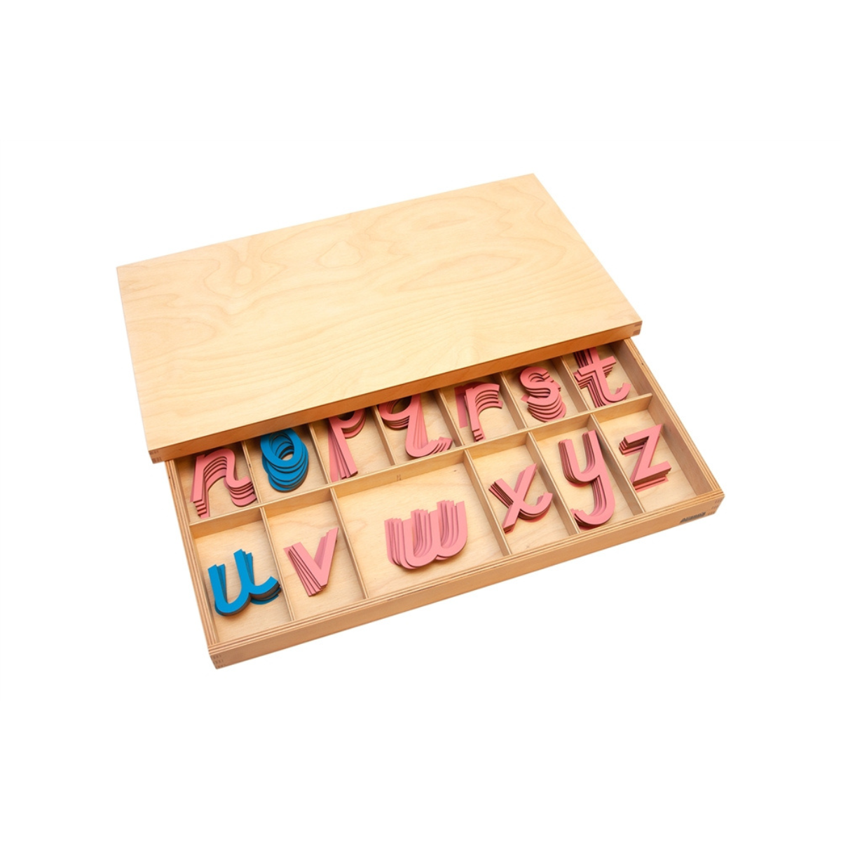 Large Movable Alphabet: D'Nealian - Pink and Blue (Premium Quality)