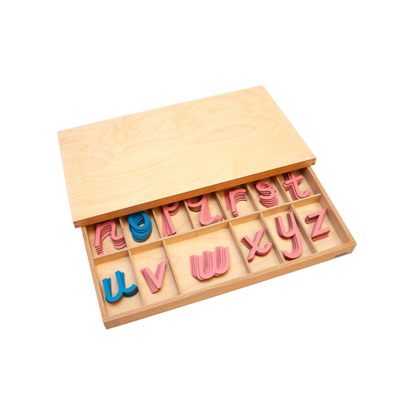 Large Movable Alphabet: D'Nealian - Pink and Blue (Premium Quality)