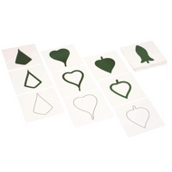 Botany Leaf Cards