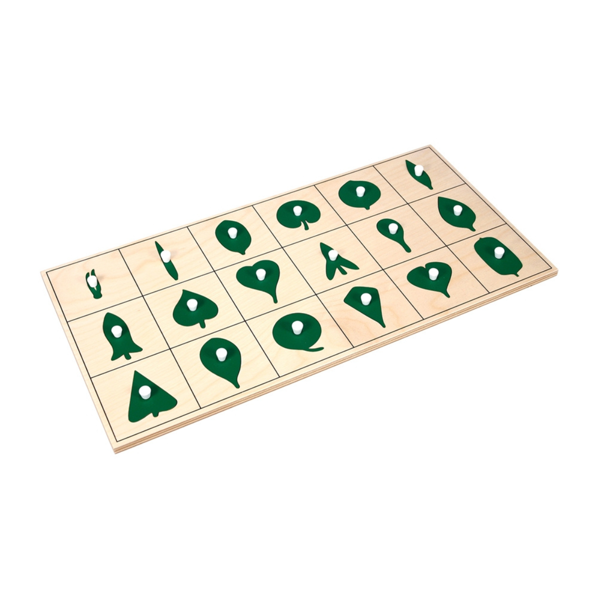 Botany Leaf Shapes Puzzle and Control Chart (Premium Quality)