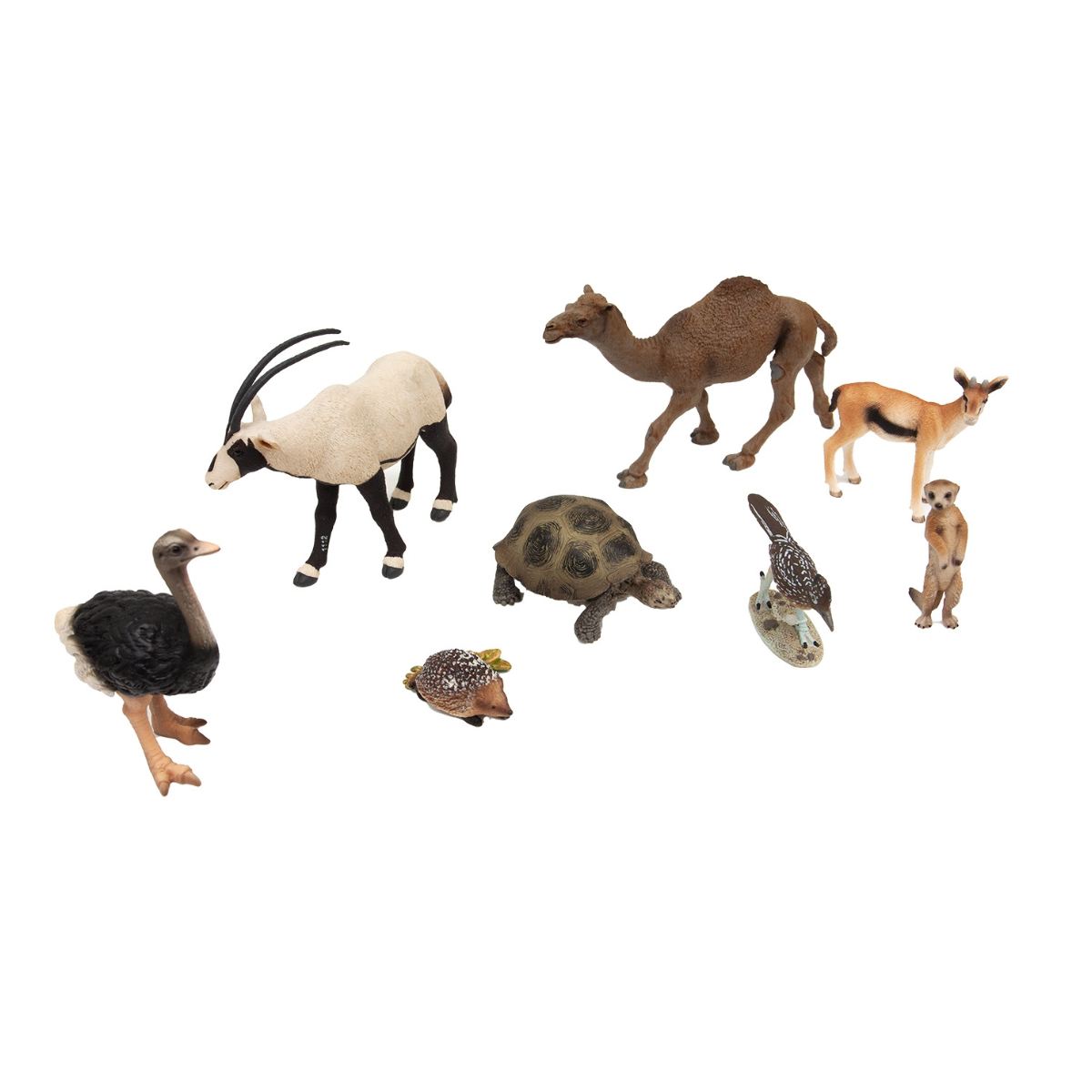 Desert Animals