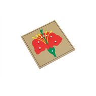 Parts of a Flower Puzzle (Premium Quality)
