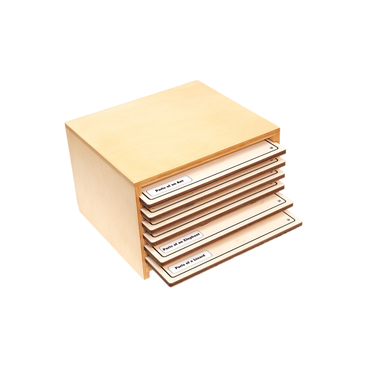Square Cabinet for Six Infant and Toddler Puzzles