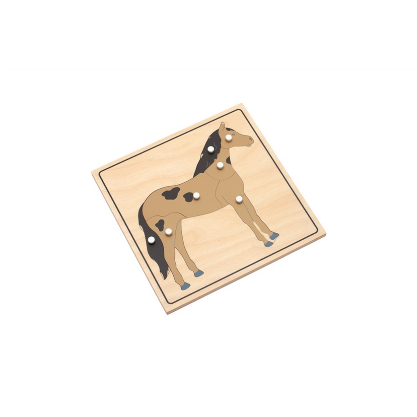 Parts of a Horse Puzzle (Premium Quality)